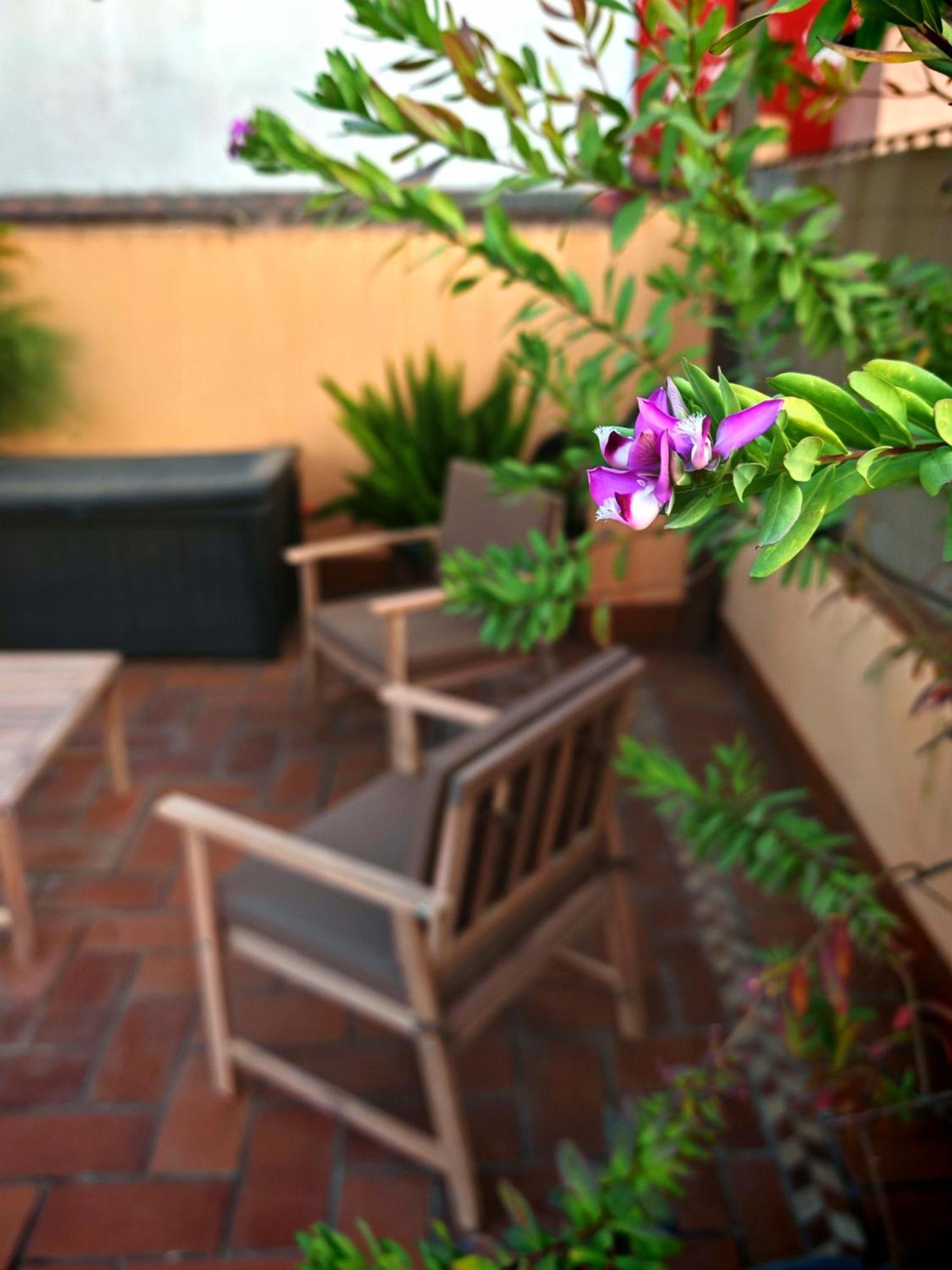 Luxury Rooftop - Space Maison Apartments Sevilla Exterior foto